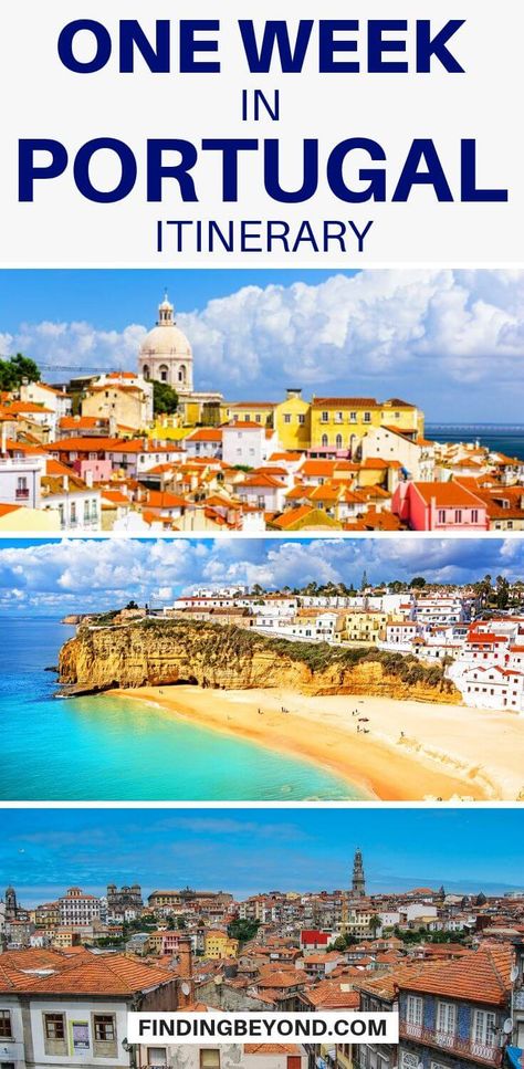 Are you looking for the top Portugal highlights for a 7 day visit? We’ve got you covered for a one week Portugal itinerary, no matter what your interests. Backpacking Portugal, Portugal Train, Visiting Portugal, History Of Portugal, Portugal Itinerary, 7 Day Itinerary, Portugal Vacation, Portugal Porto, Visit Portugal