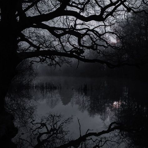 Dark Naturalism Aesthetic, Lake Aesthetic, Dark Naturalism, Dark Landscape, Gothic Wallpaper, Dark Paradise, Stay Alive, Playlist Covers, Gothic Aesthetic