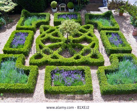 Traditional Knot Garden At An Oxfordshire House Stock Photo, Picture And Royalty Free Image. Pic. 18407258 Oxfordshire House, Maze Garden, Plantarea Legumelor, Knot Garden, Formal Garden Design, Parterre Garden, Boxwood Garden, English Garden Design, Garden Hedges