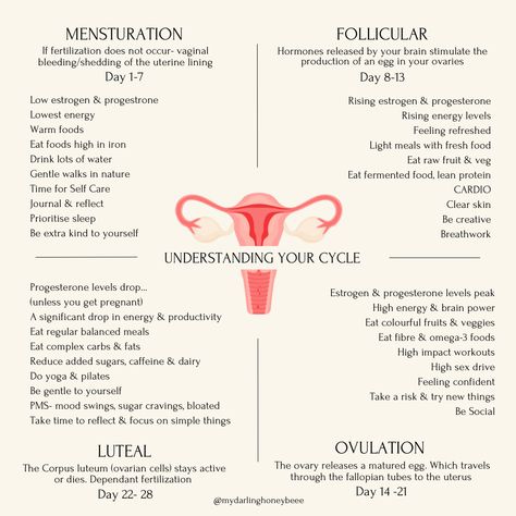 Hormone Nutrition, Cycling Food, Selfcare Ideas, Period Cycle, Period Care, Winter Arc, Healthy Hormones, Menstrual Health, Feminine Health