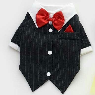 Dog Tux, Cats Costume, Small Dog Coats, Tuxedo T Shirt, Dog Tuxedo, Formal Tuxedo, Dog Suit, Puppy Clothes, Tuxedo Suit