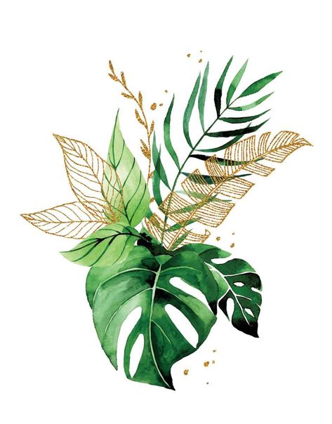 watercolor drawing. bouquet, composition of tropical leaves. gold and green leaves of palm, monstera. rainforest leaves African Leaves, Drawing Bouquet, Leaves Composition, Rainforest Leaves, Green Leaves Watercolor, City Palace Jaipur, Vector Snowflake, Tropical Bouquet, Roi Lion