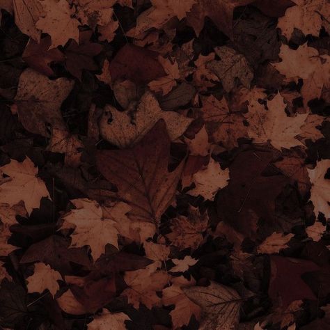 Dark Brown Nature Aesthetic, Brown Forest Aesthetic, Umber Aesthetic, Charlie Spring Aesthetic, Aesthetic Autumn Leaves, Dark Academia Widget, Crochet Instagram, Fall Mood Board, Aesthetic Shorts