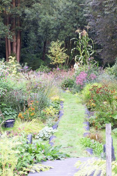 Upcycled Allotment Ideas, Junkyard Garden, Recycled Garden Projects, Wildlife Garden Design, Ferns Garden, Recycled Garden, Evergreen Plants, Wildlife Gardening, Small Backyard Landscaping