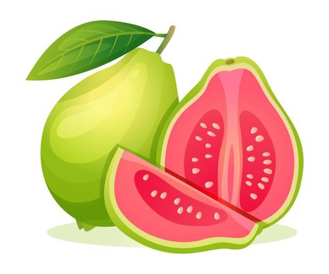 Guava Drawing, Guava Vector, Cute Cartoon Food, Guava Fruit, Fruit Clipart, Fruit Icons, Fruits Drawing, Afrique Art, Leaf Illustration