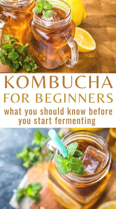 Make Kombucha, Kombucha Starter, Kombucha Scoby, Caffeine In Tea, Kombucha Recipe, Kombucha Tea, Gut Health Recipes, Quit Drinking, Fermented Drink