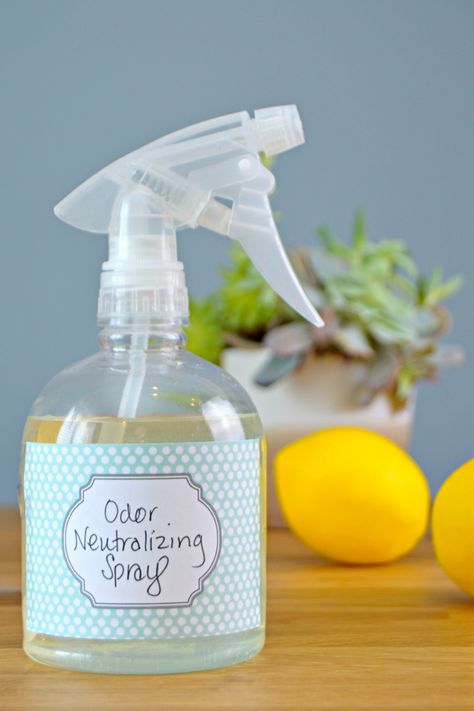 Homemade Odor Neutralizer Spray - Great for pet odors, dirty diaper odors… Mold And Mildew Remover, Flea Repellent, Flea And Tick Spray, Tick Spray, Mildew Remover, Mold In Bathroom, Tick Repellent, Carpet Cleaning Hacks, Diy Sprays