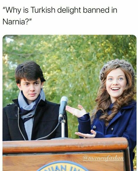 About Turkish delight Edmund Narnia, Narnia Quotes, Narnia Cast, Narnia Movies, Narnia 3, Edmund Pevensie, Prince Caspian, Movie Memes, Cs Lewis