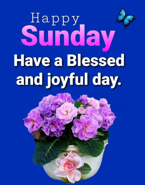 Sunday Quotes Good Morning, Good Morning Sunday Wishes, Sunday Good Morning Wishes, Happy Sunday Messages, Sunday Morning Wishes, Blessed Sunday Morning, Sunday Messages, Good Morning Sunday, Sunday Greetings