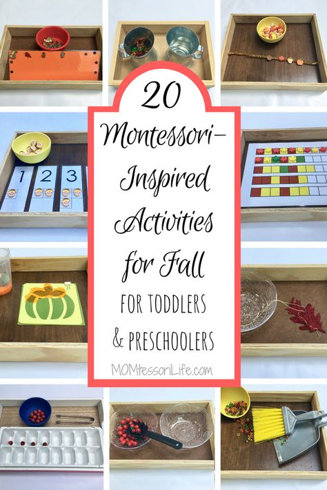 Preschoolers Activities, Montessori Shelves, Fall Activities For Toddlers, Montessori Trays, Montessori Activities Preschool, Montessori Lessons, Practical Life Activities, Fall Preschool Activities, Montessori Art