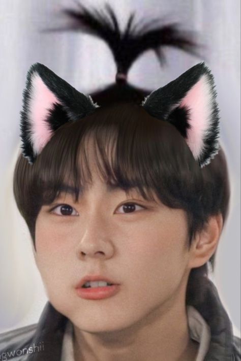 Cat boy jungwon #jungwonenhypen #enhypenjungwon #catboy Jungwon Cat Pose, Cutest Boyfriend, Jungwon Cat, Cat Boy, Wallpaper Cat, Asian Guys, Cat Pose, Let Me In, Cat Boys