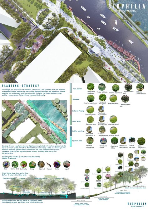 ARCHITECTURE BOARD 2019 Check out my @Behance project: "Resilience Landscape Infrastructure Detail Development" https://www.behance.net/gallery/78709869/Resilience-Landscape-Infrastructure-Detail-Development Landscape Architecture Presentation, Landscape Architecture Park, Landscape Architecture Portfolio, Landscape Architecture Diagram, Landscape Architecture Plan, Urban Design Graphics, Landscape Architecture Drawing, Architecture Presentation Board, Architecture Board