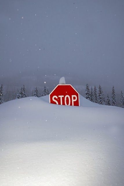 bluepueblo:  Snow Drift, Durango, Colorado photo via tammy Minnesota Nice, Deep Snow, I Love Snow, Durango Colorado, Winter Schnee, I Love Winter, Winter Scenery, Winter Beauty, Snow And Ice