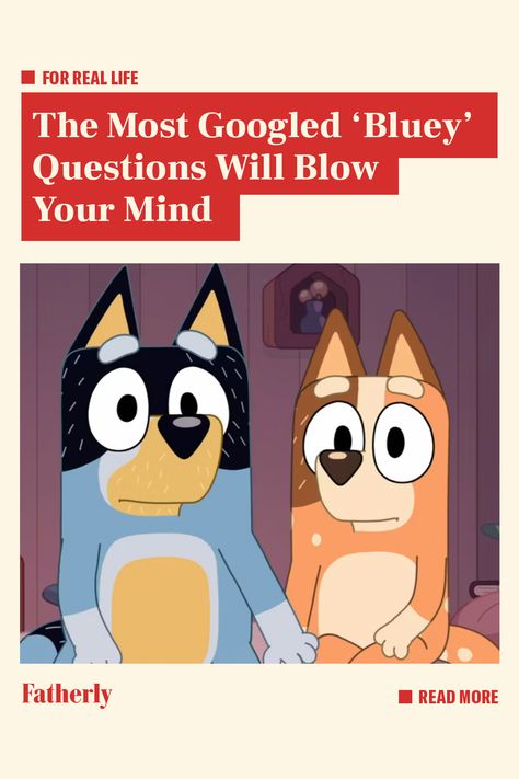 Think you know Bluey? Think again. Bluey Profile Photo, Bluey As A Human, Bluey Misscarage, Serious Topics In Bluey, Bluey And John Luc, Bingo Funny Bluey, Bluey Workout, Bluey Buzzfeed Quizzes, What Bluey Character Am I Quiz