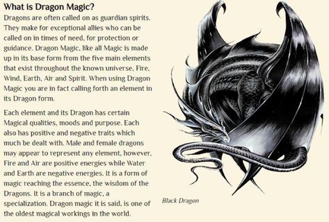 Dragons In Witchcraft, Draconic Witchcraft, Dragon Witchcraft, Dragon Magick, Dragon Witch, Dragon Magic, Dragon Spirit, Spirit Animal Meaning, Dragon Energy