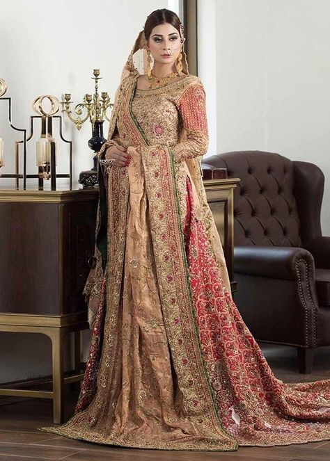 Panelled Lehenga, Organza Lehenga, Pakistani Couture, Pakistani Style, Bridal Outfit, Net Lehenga, Bridal Dress Fashion, Short Shirt, Silk Dupatta