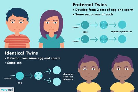 11 Surprising Facts About Fraternal Twins: They Develop From 2 Separate Eggs Healthy Parenting, Human Things, Fraternal Twins, Curious Facts, Twin Pregnancy, Identical Twins, Parenting Toddlers, Random Facts, Surprising Facts