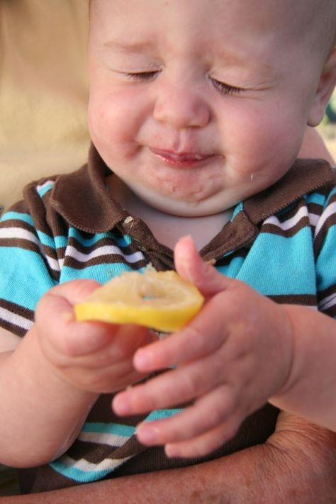 I cannot wait to catch the first lemon face! This blog has detailed photos and I love it! Lemon On Face, Kind Photo, Baby Faces, E Card, Fotografi Potret, Little People, Funny Faces, Funny Babies, His Hands