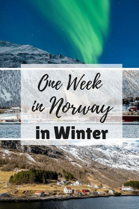 Visiting Norway, Norway In Winter, Northern Lights Cruise, Norway Itinerary, Norway Vacation, Norway Travel Guide, Norway Winter, Norway Fjords, Winter Travel Destinations