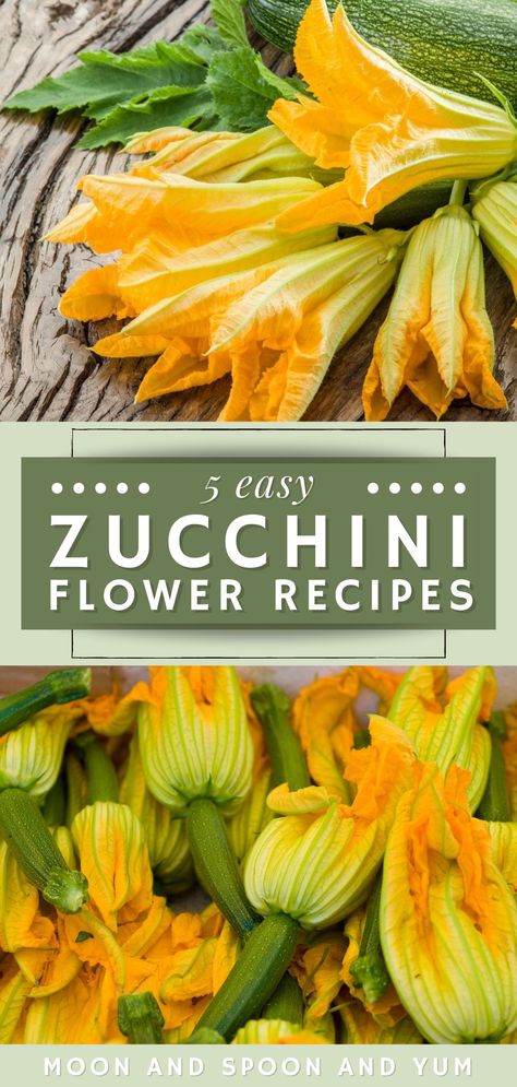 Zucchini Flowers Stuffed, Stuffed Zucchini Flower Recipes, Squash Blossoms Stuffed, Stuffed Squash Flower Recipes, Zucchini Flowers Recipe, Squash Flowers Recipes, Squash Flower Fritters, Squash Blossoms Recipes, Squash Blossom Recipes