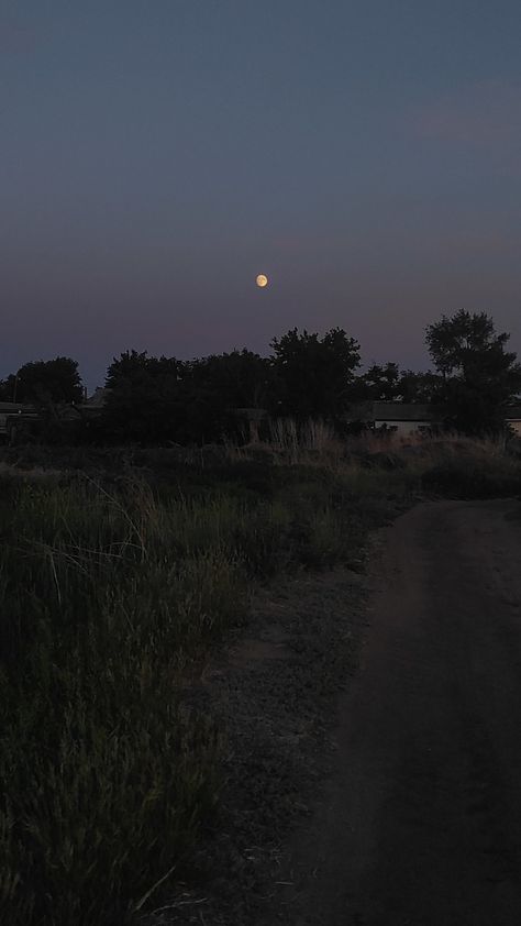 Iphone Background Dark Academia, Rural Night Aesthetic, Summer Night Background, Spring Night Aesthetic, Dark Meadow, Moon Place, Dark Summer, Spring Night, Night Sky Painting