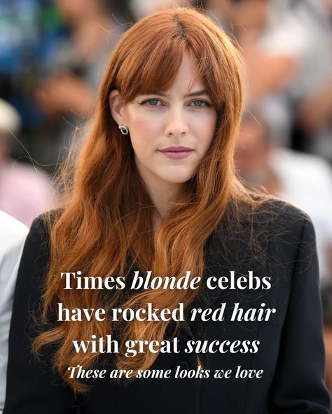 Blondes really can have fun as redheads, so much so that stars like Nicole Kidman have made auburn tresses their signature look. It's the perfect colour for those looking to transform their hair this autumn. Looking for inspiration before you take the leap? Head to the link to see the 32 times blonde celebs have effortlessly showcased red hair, from softer shades of copper to vibrant scarlets. Blond To Auburn Hair Before And After, Amanda Seyfried Red Hair, Emma Roberts Red Hair, Blond To Red Hair Before And After, From Blonde To Red Hair Before And After, Blake Lively Red Hair, Blonde Auburn Hair, Blonde Celebs, Blonde To Red Hair Before And After