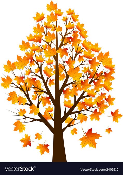 Maple Tree Illustration, Maple Tree Drawing, Maple Leaf Tree, Nagomi Art, Photoshop Png, Forest Falls, Window Drawing, Tree Vector, Autumn Decoration