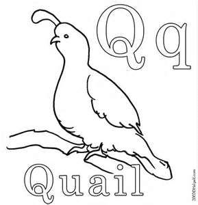 . Q Is For Quail, Coloring Worksheets For Kindergarten, Super Coloring Pages, Coloring Worksheets, Lion Drawing, Worksheets For Kindergarten, Math Coloring, Kids Pages, Bird Coloring Pages