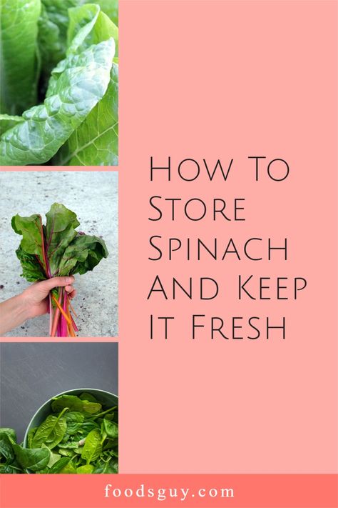 In this article, we’ve curated our best practices and tips for keeping your spinach fresh for up to 10 days, as well as a simple guide to freezing spinach for longer-term storage and even proper storage for cooked spinach. Freezing Spinach, How To Store Spinach, Cooked Spinach, Carrot Cake Loaf, Cake Loaf, Salad Spinner, Practical Kitchen, Fresh Spinach, Spinach Leaves