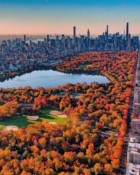 Park In Autumn, New York City Central Park, Extra Space Storage, Nyc Fall, Fall Vacations, Central Park Nyc, Autumn In New York, Empire State Of Mind, Space Storage