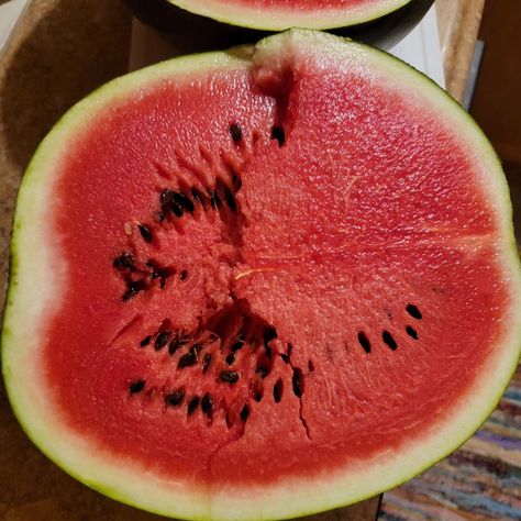 Check out this amazing Black Diamond watermelon we picked up last week! #kendraskreationstexas #nationalwatermelonday #foodie #thepicklelady #shop817 #watermelon #southernfood #blackdiamondwatermelon #blackdiamond #southern Black Diamond Watermelon, National Watermelon Day, Southern Recipes, Black Diamond, Pickles, Watermelon, On Instagram, Instagram, Black