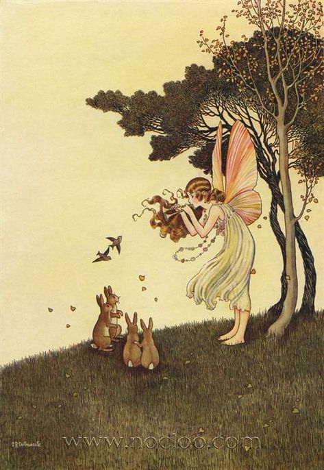 Ida Rentoul Outhwaite - Illustrations for The Enchanted Forest 1921 Fairytale Images, Ida Rentoul Outhwaite, Fairy Music, History Student, Fairy Stories, John William Waterhouse, Kindle Cover, Vintage Fairies, Fairytale Art