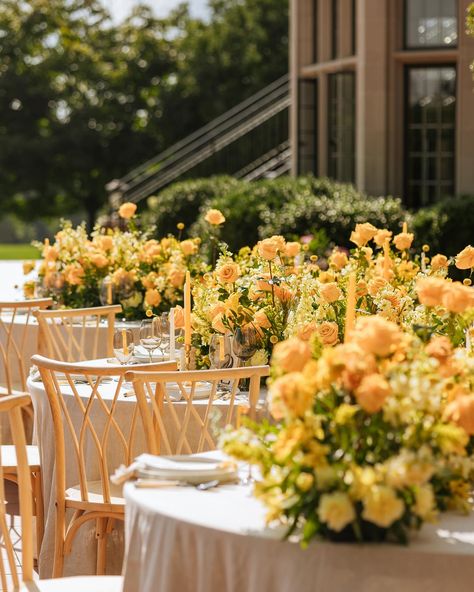 Just in awe at this table scape from Monday’s styled shoot. I apologize now, you’re going to be seeing a lot of yellow on the feed! So many of these images deserve their own moment! Yellow is my favorite color in florals so I am in heaven. 🤩💛 Fueling the creative juices with an amazing styled shoot is so good for the soul ✨💛 Vendors Planning & Design: @allsettup Florist: @tkfloraldesignshv Hosts: @thecollectivestyledshoots Venue: @wavenyhousevents Hair: @mcshairstyles Makeup: @jkinford... Wedding Day Tips, Good For The Soul, Hudson Valley Wedding, Table Scape, Valley Wedding, My Favorite Color, Yellow Wedding, Bridal Inspiration, Plan Design