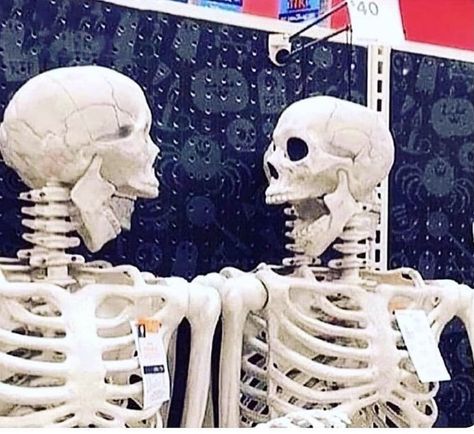 Two Skeletons, Looking At Each Other, In Shock, Skeleton, On Twitter, Twitter