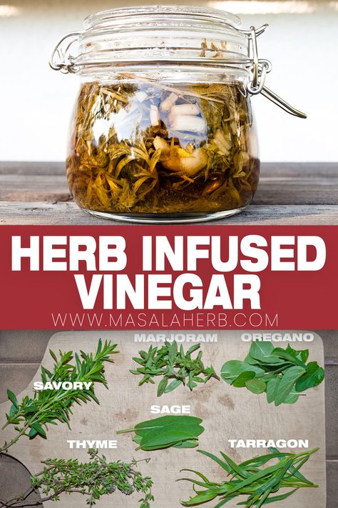 Flavored Vinegar Recipes, Infused Oil And Vinegar Recipes, Herbal Vinegars How To Make, Making Herb Infused Oil, Making Herbal Vinegar, Hot Vinegar, Garlic Vinegar, Veggie Storage, Homemade Vinegar