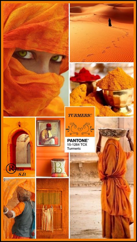 '' Turmeric- Pantone Spring/ Summer 2019 Color '' by Reyhan S.D. Orange Collage, Mood Board Fashion Inspiration, Pantone 2020, Yoga Studio Design, Mood Colors, Color Me Beautiful, Color Balance, Mood Board Fashion, Colour Board