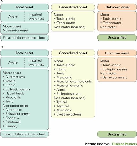 Unit Plan Template, Types Of Seizures, Classroom Management Plan, Test Plan, Nursing Care Plan, Online Classroom, Nerve Cell, Neurological Disorders, Unit Plan