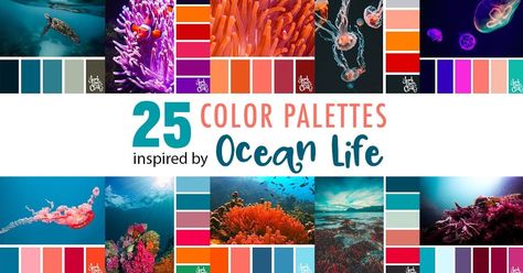 Take a dive under the sea with these beautiful color combinations inspired by ocean life and Living Coral - PANTONE’s 2019 Color of the Year. Sarah Renae Clark, Summer Color Palettes, Design Color Trends, Pantone Fall, Christmas Color Palette, Color Boards, Classic Color Palette, Winter Color Palette, Spring Color Palette