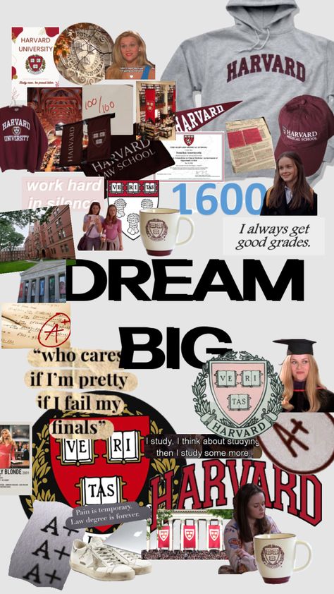 #myfirstshuffle University Inspiration, Studying Girl, Yale Law School, College Vision Board, Harvard Students, Law School Inspiration, College Motivation, Harvard Law, Harvard Law School