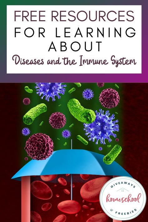 Free Resources for Learning About Diseases and the Immune System - Homeschool Giveaways Homeschool Nook, Biology Activity, System Unit, Printable Games For Kids, Homeschool Freebies, Health Activities, Developing Healthy Habits, Teaching Biology, Health And Fitness Magazine