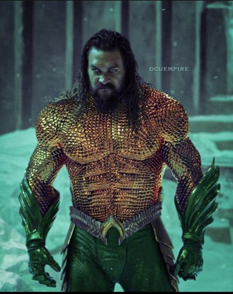 Aquaman Jason Momoa, Aquaman Costume, Aquaman Dc Comics, Jason Momoa Shirtless, Jason Momoa Aquaman, Jason Momoa, Aquaman, Dc Universe, Justice League