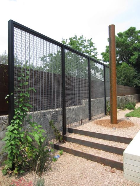 How to Create Backyard Privacy for Your Outdoor Haven Modern Trellis, Metal Trellis, Garden Vines, Garden Screening, Pergola Design, Backyard Privacy, Backyard Pergola, Garden Pictures, Pergola Plans