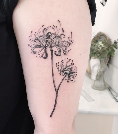 34 Spider Lily Tattoo Ideas to Inspire You in 2023 Spider Flowers Tattoo, Black And White Spider Lily Tattoo, Spider Lily Tattoo Design Black, Spider Lily Tattoo Black And White, Spider Lily With Spider Tattoo, Flower Tattoo Ideas Men, Spider Lilly Tatoos Black, Spiderlili Tattoo Design, Spider Lily Tattoo Stencil