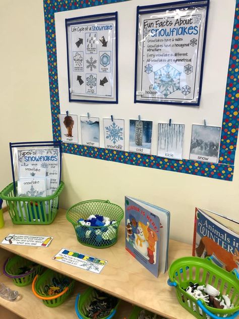 Winter Discovery Center Preschool, Winter Science Center Preschool, Snow Theme Preschool, Arctic Animals Printables, Winter Classroom Decorations, Fun Facts About Life, Bird Feeder Craft, Snow Theme, Snowflake Craft