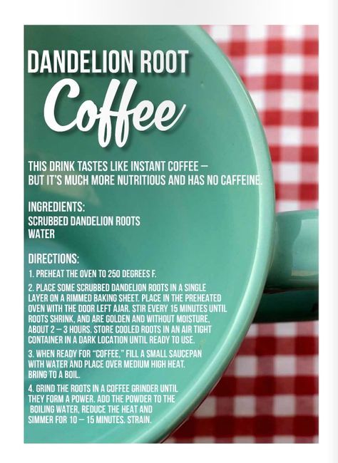 Dandelion Root coffee recipe I From Scratch magazine Dandelion Root Coffee Recipe, Dandelion Root Coffee, Dandelion Coffee, Coffee Alternative, Dandelion Root, Coffee Recipe, Dandelion Recipes, Herbal Teas, Global Recipes