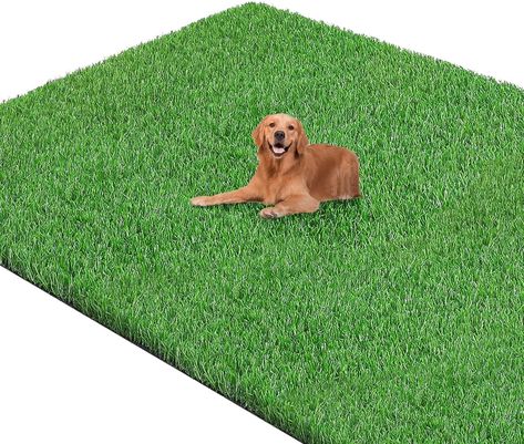 PRICES MAY VARY. 【Realistic Artificial Grass Rug】This fake grass for dogs provides a realistic and natural-looking alternative to traditional grass. Enjoy year-round greenery and the feeling of real turf, perfect for indoor and outdoor projects 【Premium Materials】Our turf grass is made from recyclable materials, ensuring it's safe for both children and pets. We're committed to providing the highest quality of life while minimizing our environmental impact 【Safety and Durability】We use high-quality synthetic materials that are fire-resistant and durable, ensuring the safety and longevity of our products. Our artificial turf is wear-resistant, non-slip, and resilient, with excellent UV resistance 【Low Maintenance】Our artificial turf grass outdoor rug is easy to care for and requires no mowin Fake Grass For Dogs, Artificial Grass Rug, Dog Pee Pads, Fake Grass, Synthetic Turf, Lawn And Landscape, Patio Landscaping, Artificial Turf, Artificial Grass