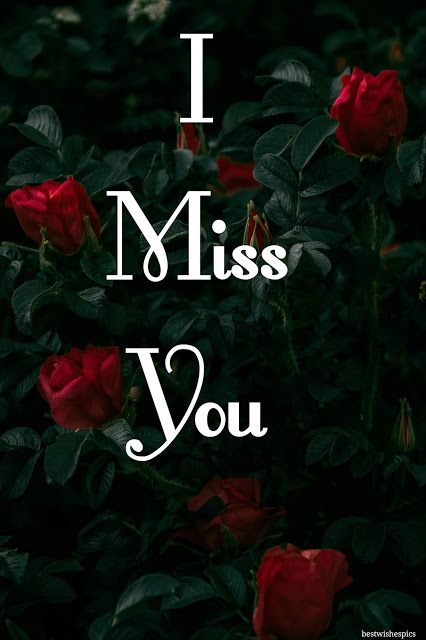 I Miss You Images, I Miss You Image, Miss You My Love, Missing Love Quotes, Miss U Quotes, I Miss You Lyrics, Miss U Love, Raj Mahal, Good Morning Quotes Friendship, I Miss Your Voice