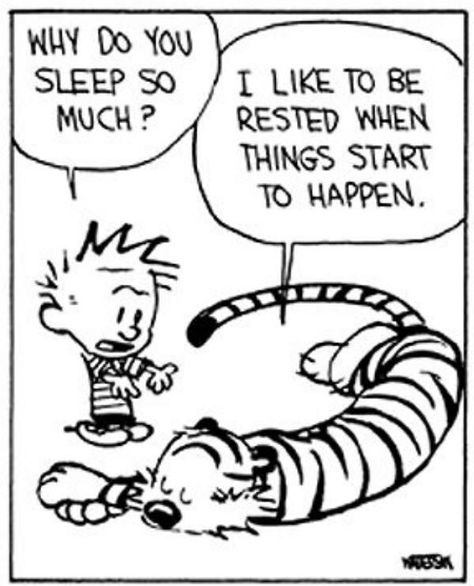 "Why do you sleep so much? " "I like to be rested when things start to happen." Calvin And Hobbes Sleeping, Funny Things Kids Say, Best Calvin And Hobbes, Calvin Und Hobbes, Calvin And Hobbes Quotes, Things Kids Say, Calvin And Hobbes Comics, Calvin Hobbes, Well Rested