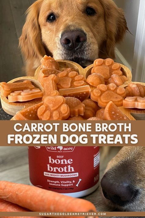 Are you looking for a healthy and tasty way to treat your dog? Why not make carrot bone broth frozen dog treats, also known as carrot brothsicles. These treats are packed with essential nutrients. Explore the link for this frozen dog treat recipe. #pupsicles #frozendogtreats Pupsicles Dog Treats Recipe, Broth Dog Treats, Can Dogs Eat Carrots, Frozen Dog Treats Recipes, Dog Treat Recipe, Easy Dog Treat Recipes, Frozen Dog Treats, Best Treats For Dogs, Easy Dog Treats