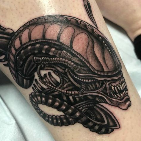 Xenomorph Tattoo, Tattoo Chest, Omerta Tattoo, Skeleton Hand Tattoo, Back Of Shoulder Tattoo, Incredible Tattoos, Cowgirl Art, Vintage Cowgirl, Aesthetic Tattoo